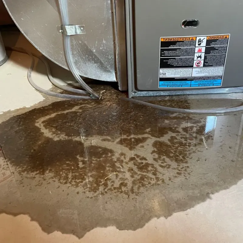 Pipe Burst and Leak Restoration in Newburgh Heights, OH