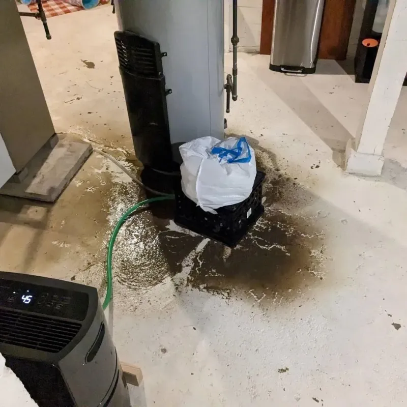Sewage Backup Cleanup Service in Newburgh Heights, OH